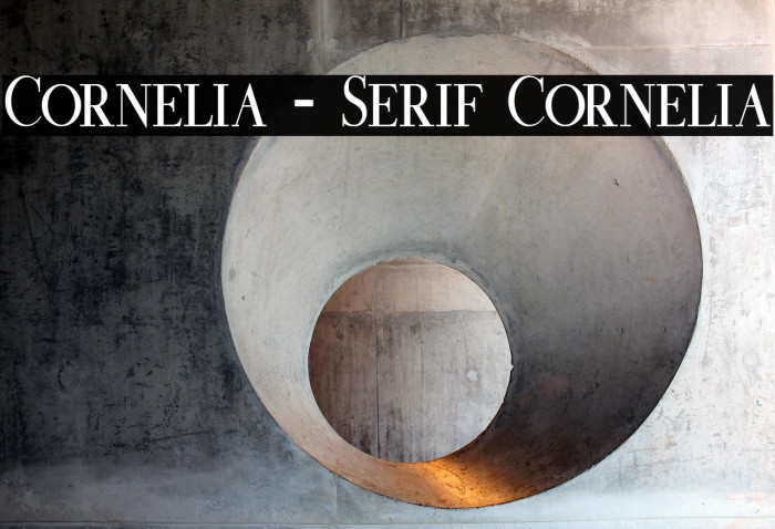 Cornelia - Serif Cornelia Example 2