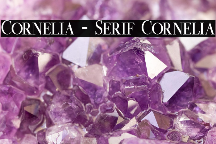 Cornelia - Serif Cornelia Example 3