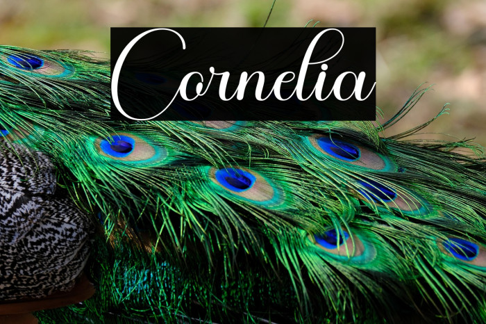 Cornelia Example 3