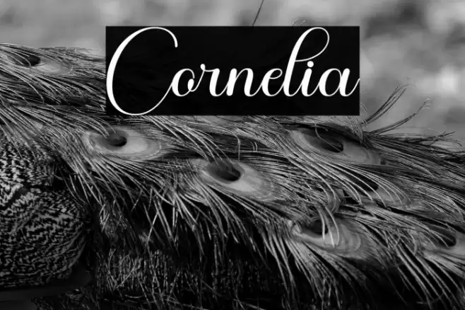 Cornelia Font examples