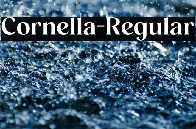 Cornella-Regular Example 2