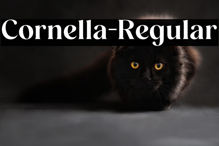 Cornella-Regular Example 3