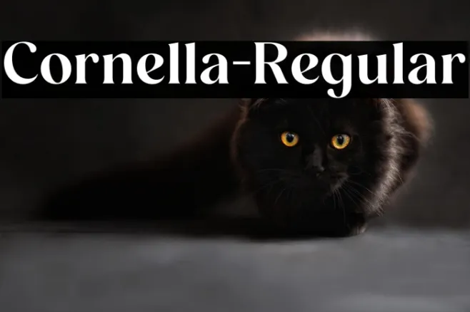 Cornella-Regular Example 3