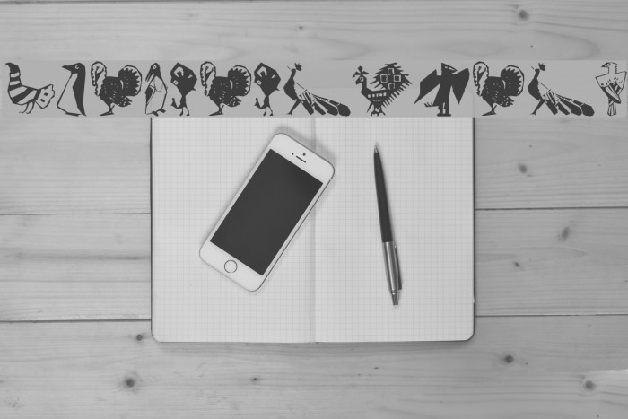 CorneredBirds Example 2