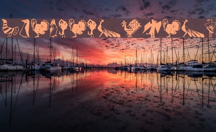 CorneredBirds Example 3