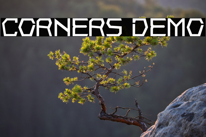 Corners Demo Example 2