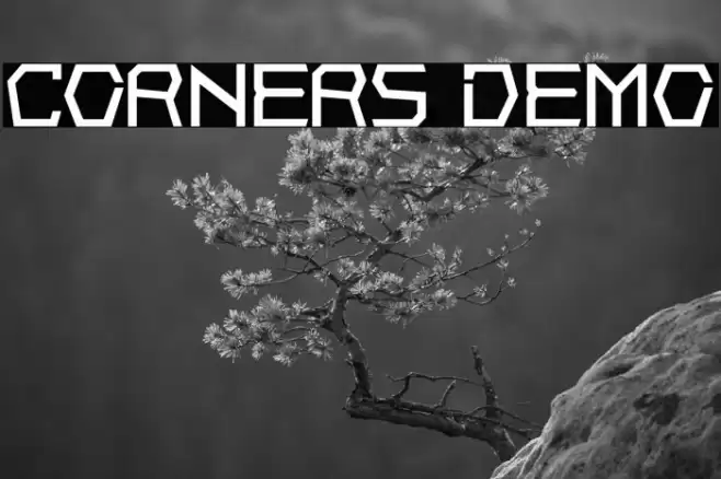 Corners Demo Font examples