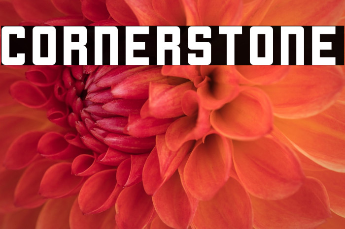 Cornerstone Example 1