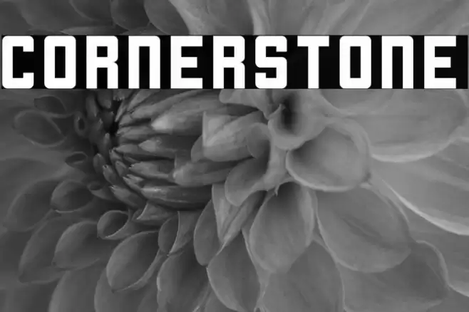 Cornerstone Fuentes examples