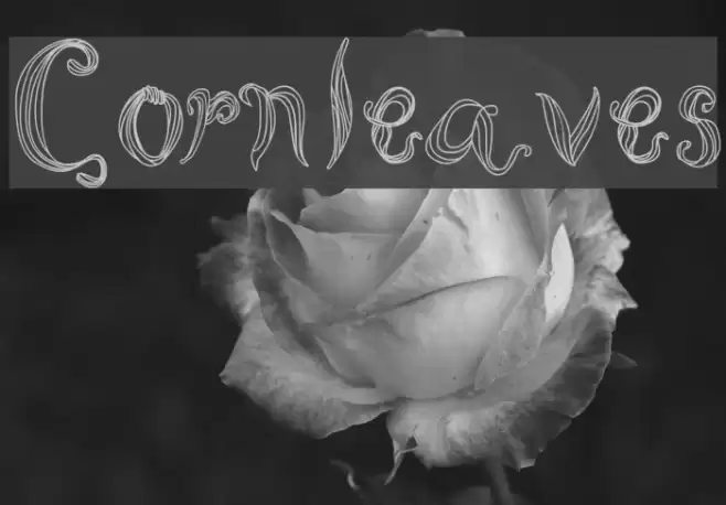 Cornleaves Font examples