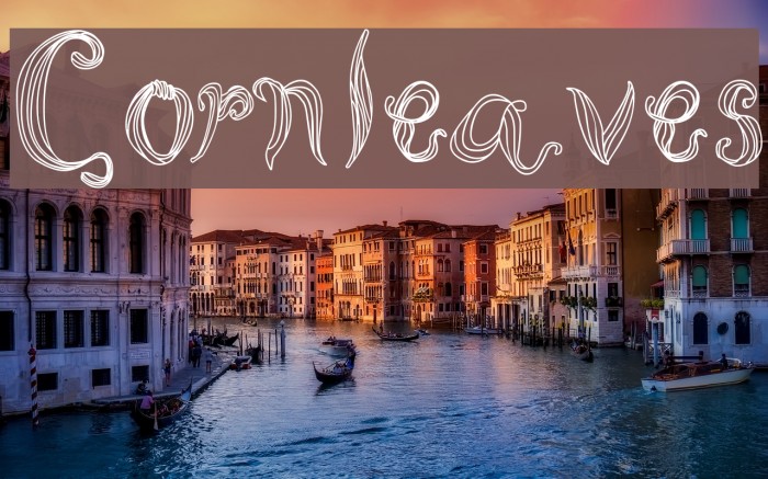 Cornleaves Example 3