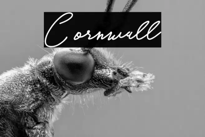 Cornwall Font examples