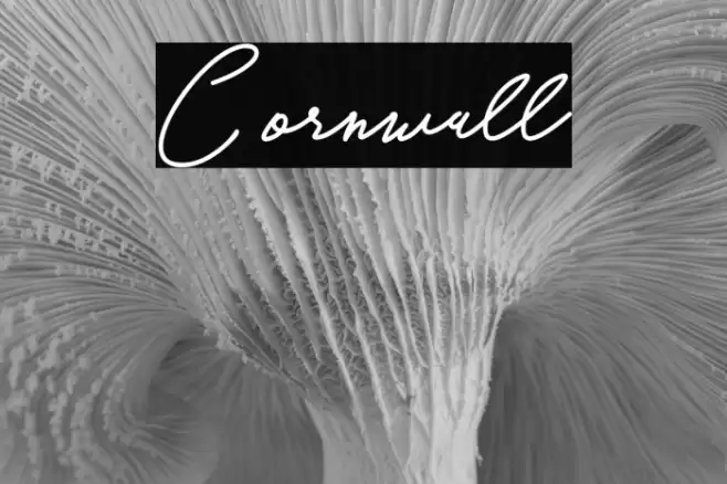 Cornwall Font examples