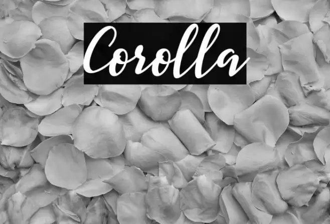 Corolla Font examples
