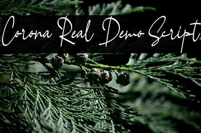 Corona Real Demo Script Example 2