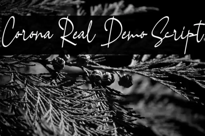 Corona Real Demo Script Font examples