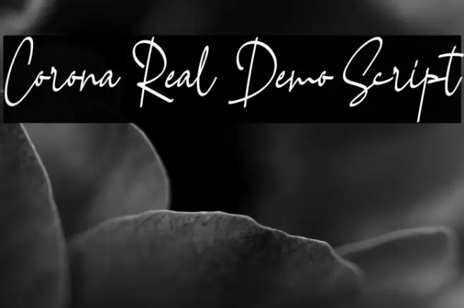 Corona Real Demo Script Font examples