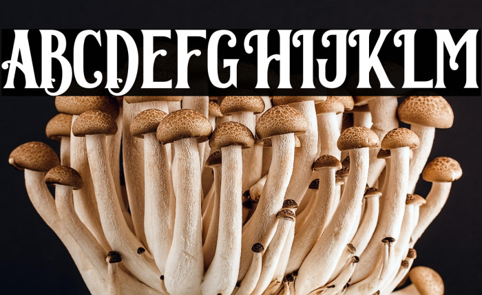 Corona Regular Example 3