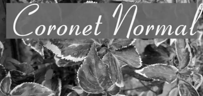 Coronet Normal Font examples