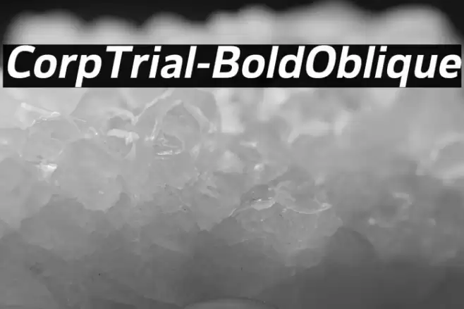 CorpTrial-BoldOblique Font examples