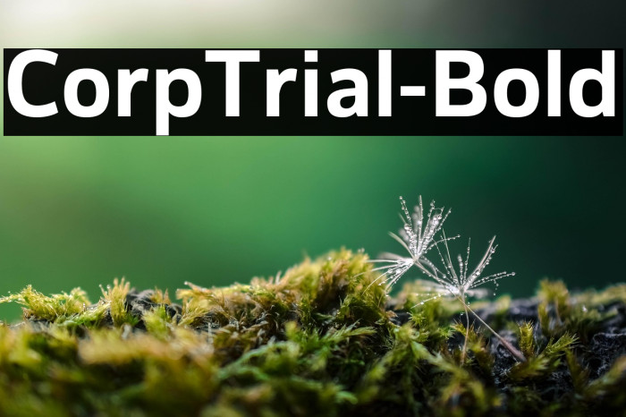 CorpTrial-Bold Example 1
