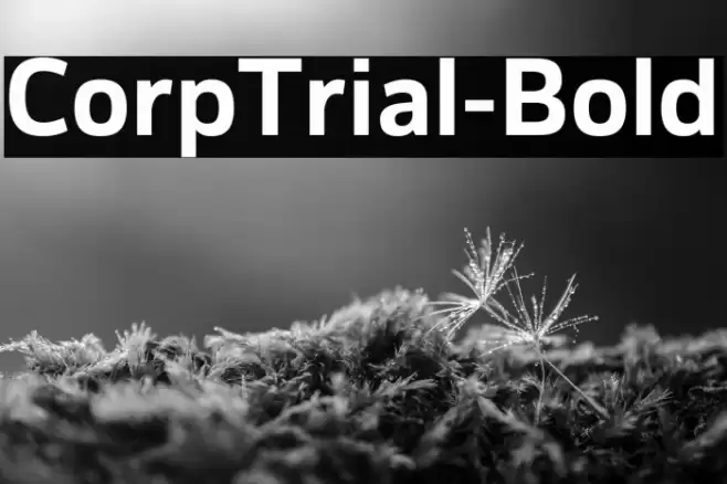 CorpTrial-Bold Font examples