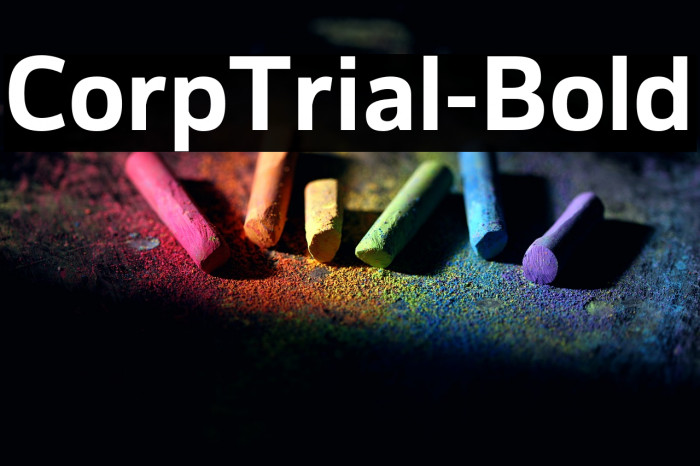 CorpTrial-Bold Example 2