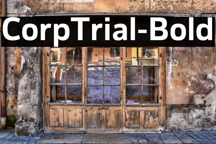 CorpTrial-Bold Example 3