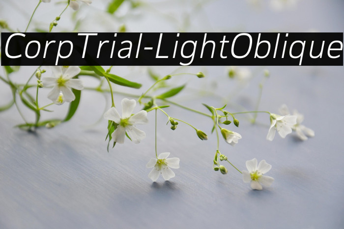 CorpTrial-LightOblique Example 1