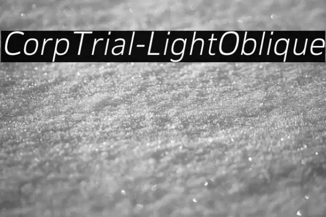 CorpTrial-LightOblique Font examples