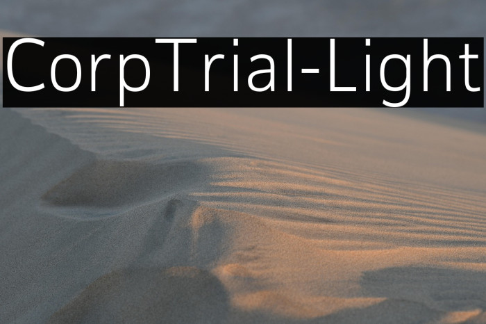 CorpTrial-Light Example 2