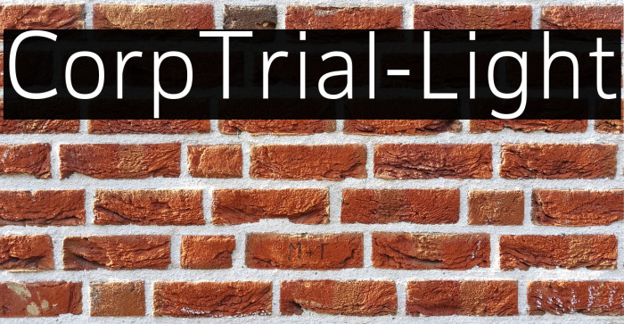 CorpTrial-Light Example 3