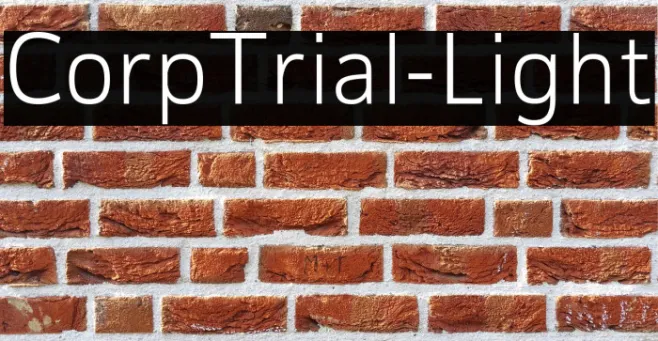 CorpTrial-Light Example 3