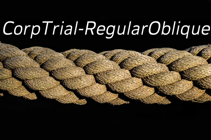 CorpTrial-RegularOblique Example 2