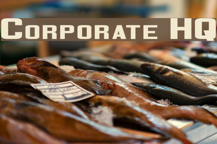Corporate HQ Font examples