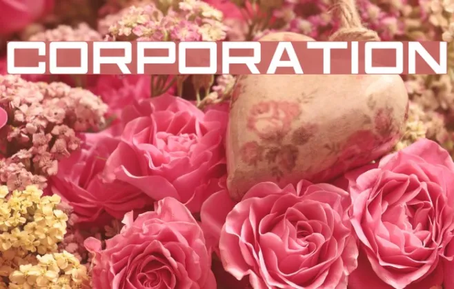 Corporation Example 2