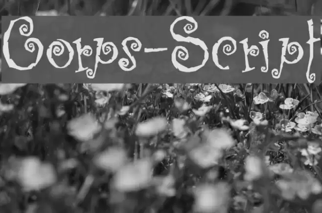 Corps-Script Schriftart examples