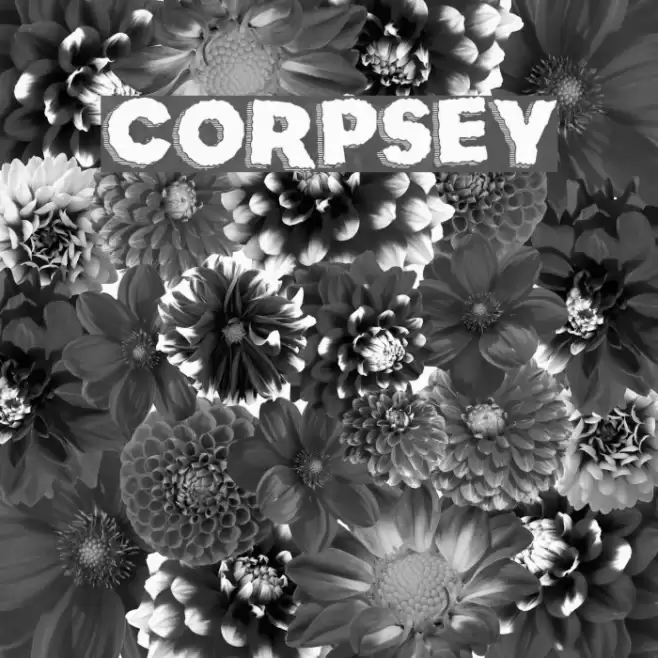 Corpsey Font examples