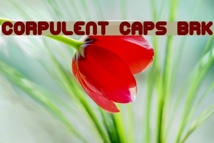 Corpulent Caps BRK フォント examples