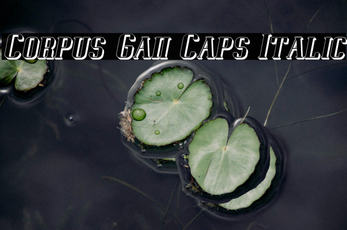 Corpus Gaii Caps Italic Example 1