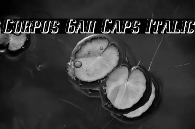 Corpus Gaii Caps Italic Font examples