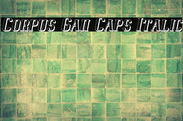Corpus Gaii Caps Italic Example 3