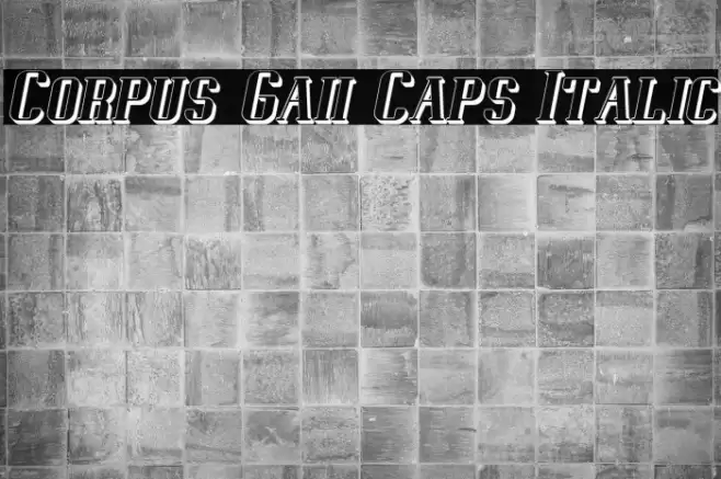 Corpus Gaii Caps Italic Font examples