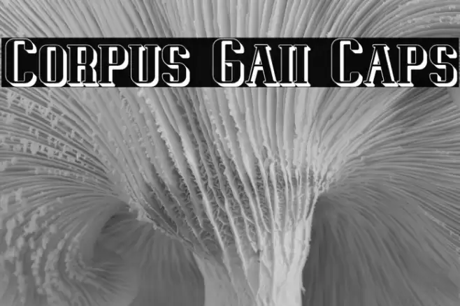 Corpus Gaii Caps Font examples