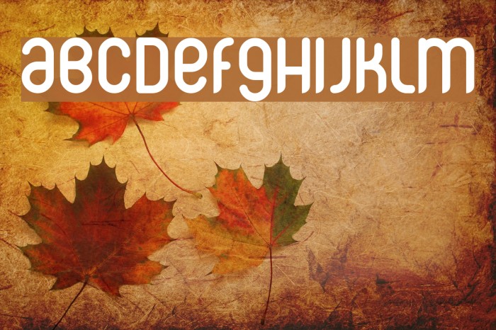CorpusCare Font examples