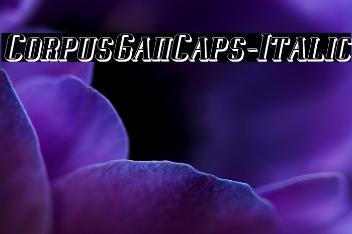 CorpusGaiiCaps-Italic Example 1