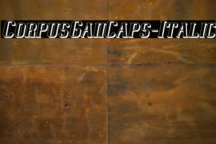 CorpusGaiiCaps-Italic Example 2