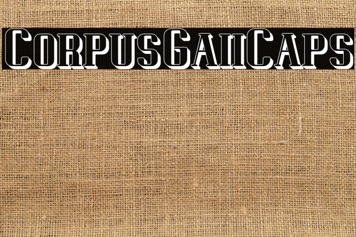 CorpusGaiiCaps Example 1