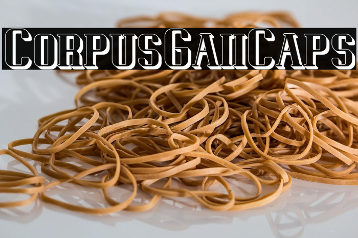 CorpusGaiiCaps Example 2