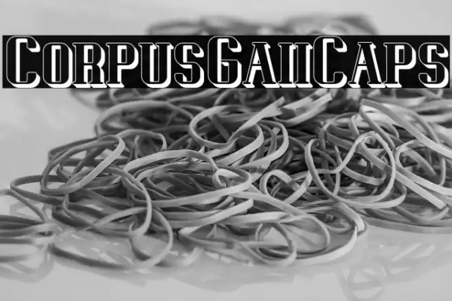 CorpusGaiiCaps Font examples